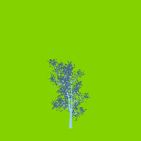greenshift tree