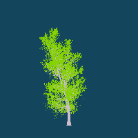 greenshift tree