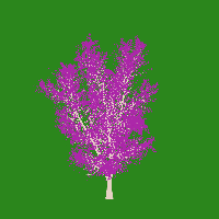 greenshift tree