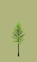 greenshift tree