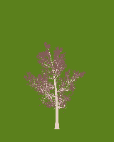 greenshift tree