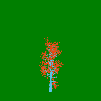 greenshift tree