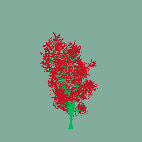 greenshift tree