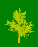greenshift tree