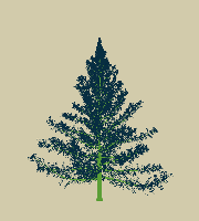 greenshift tree