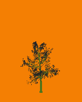 greenshift tree
