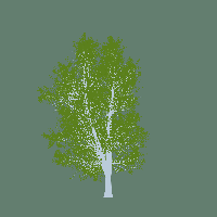 greenshift tree