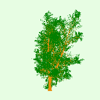 greenshift tree