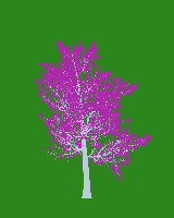 greenshift tree