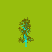 greenshift tree