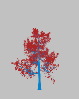 greenshift tree