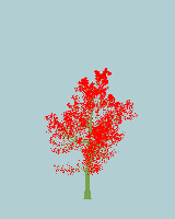 greenshift tree