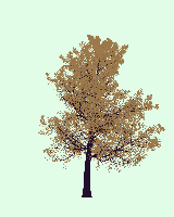 greenshift tree