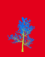greenshift tree