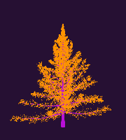 greenshift tree