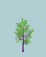 greenshift tree