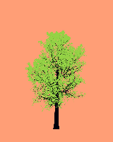 greenshift tree