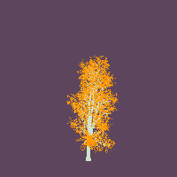 greenshift tree