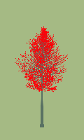 greenshift tree