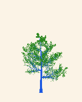greenshift tree