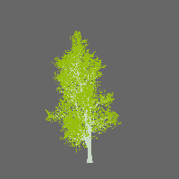 greenshift tree