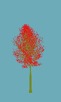 greenshift tree