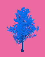 greenshift tree