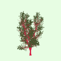 greenshift tree