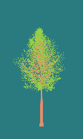 greenshift tree
