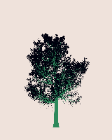 greenshift tree
