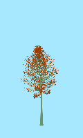 greenshift tree