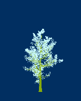 greenshift tree