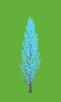 greenshift tree