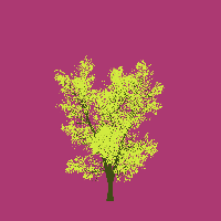 greenshift tree