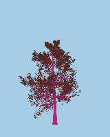 greenshift tree