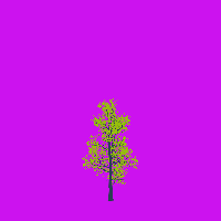 greenshift tree