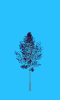 greenshift tree