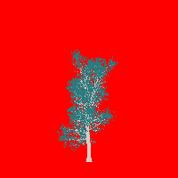 greenshift tree