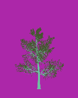 greenshift tree