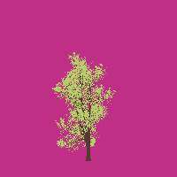 greenshift tree