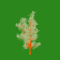 greenshift tree