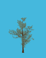 greenshift tree