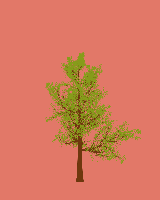 greenshift tree