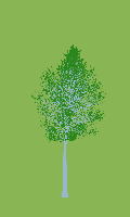 greenshift tree