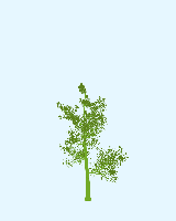 greenshift tree