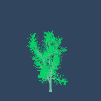 greenshift tree