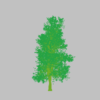 greenshift tree