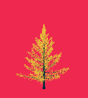 greenshift tree