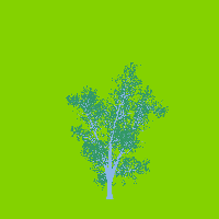 greenshift tree
