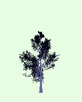 greenshift tree